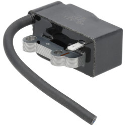 Uždegimo ritė, Kawasaki 211712257