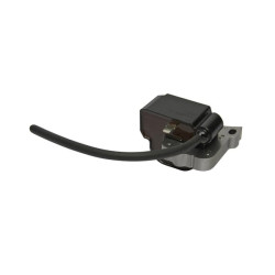 Uždegimo ritė, Kawasaki 211712250