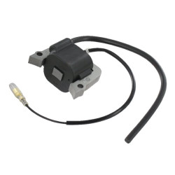 Uždegimo ritė, Kawasaki 211712195