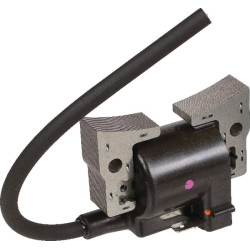 Uždegimo ritė, Kawasaki 211712206