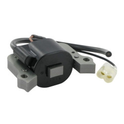 Uždegimo ritė, Kawasaki 211712192