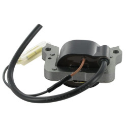 Uždegimo ritė, Kawasaki 211712192