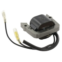 Uždegimo ritė, Kawasaki 211712205