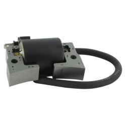 Uždegimo ritė, Kawasaki 211212067