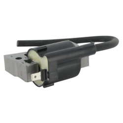 Uždegimo ritė, Kawasaki 211212067