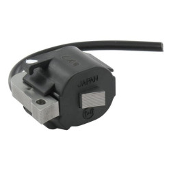 Uždegimo ritė, Kawasaki 211712233