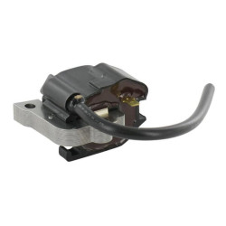 Uždegimo ritė, Kawasaki 211712233