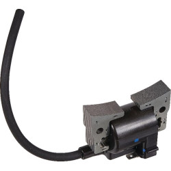 Uždegimo ritė, Kawasaki 211712207