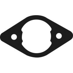 Sandariklis Kawasaki 110617095