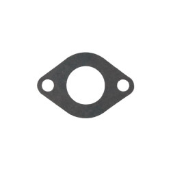 Izoliatoriaus tarpinė 110612215