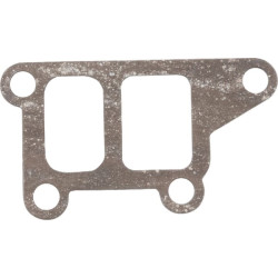 Įsiurbimo kolektoriaus tarpinė 110602094