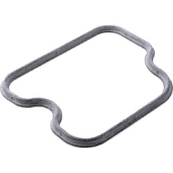 Vožtuvo korpuso tarpinė 110092923