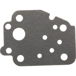 Karbiuratoriaus tarpinė 110602320