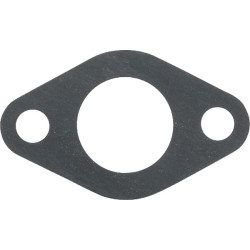 Karbiuratoriaus tarpinė 110602033