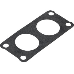 Karbiuratoriaus tarpinė 110607010