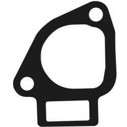 Kolektoriaus tarpinė 110617093