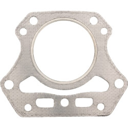 Cilindro galvutės tarpinė 110047015