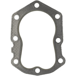 Cilindro galvutės tarpinė 110042137