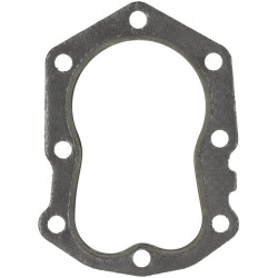 Cilindro galvutės tarpinė 110042137