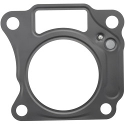 Galvutės tarpinė 110042147