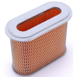 Oro filtras Kohler 6308315S