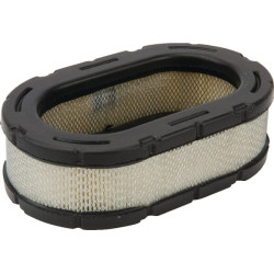 Oro filtras Kohler 3208309S