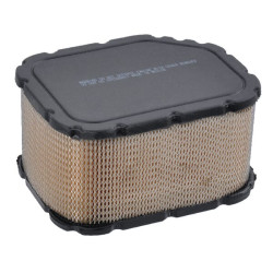 Oro filtras Kohler 3208306S