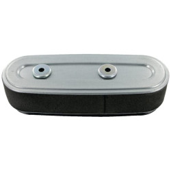 Oro filtras Kohler 6308307S