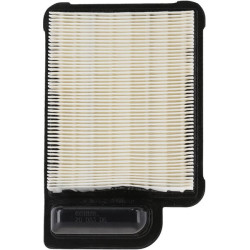 Oro filtras Kohler 2008306S