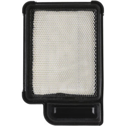 Oro filtras Kohler 2008306S