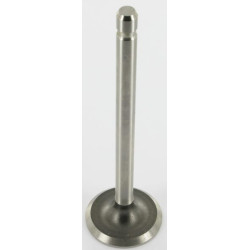 Išmetimo vožtuvas 235582S