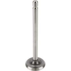 Išmetimo vožtuvas 237672S