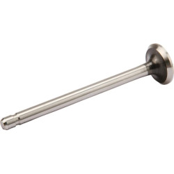 Išmetimo vožtuvas 235838S