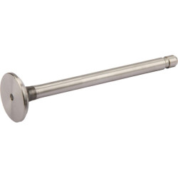 Išmetimo vožtuvas 235838S