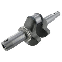 Alkūninis velenas 1051219