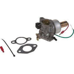 Karbiuratorius su tarpinėmis 4285303S