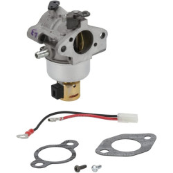 Karbiuratorius 2085385S