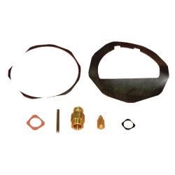 Karbiuratoriaus remonto komplektas 2575701S