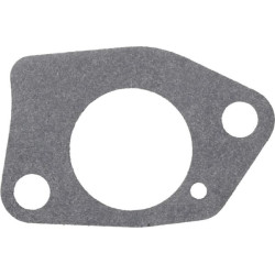 Karbiuratorius pilnas 14853114S