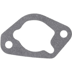 Karbiuratorius pilnas 14853114S