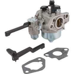 Karbiuratorius su tarpinėmis 1785305S