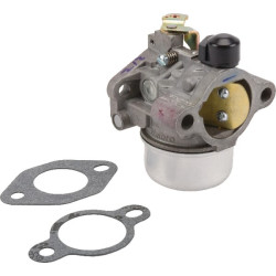 Karbiuratorius su tarpinėmis 12853169S