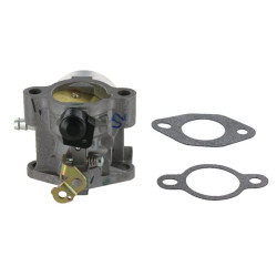 Karbiuratorius su tarpinėmis 12853139S
