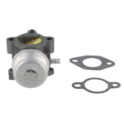 Karbiuratorius su tarpinėmis 12853139S