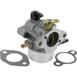 Karbiuratorius su tarpine 12853140S