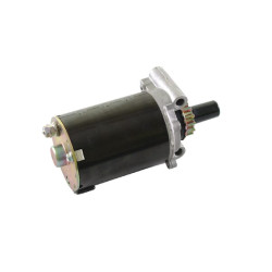 Elektrinis starteris Kohler 1209821S