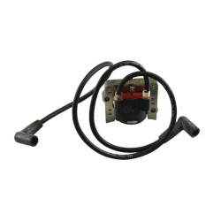 Uždegimo ritė, Kohler 5258402S