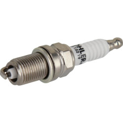 Uždegimo žvakė 2513219S