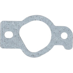 Įsiurbimo kolektoriaus tarpinės komplektas 2404179S