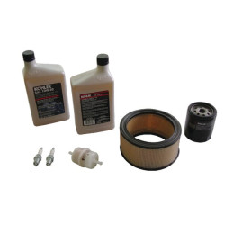 Serviso komplektas CV17-25/730-740 2478903S